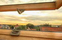 rated Mutterton roof window companies